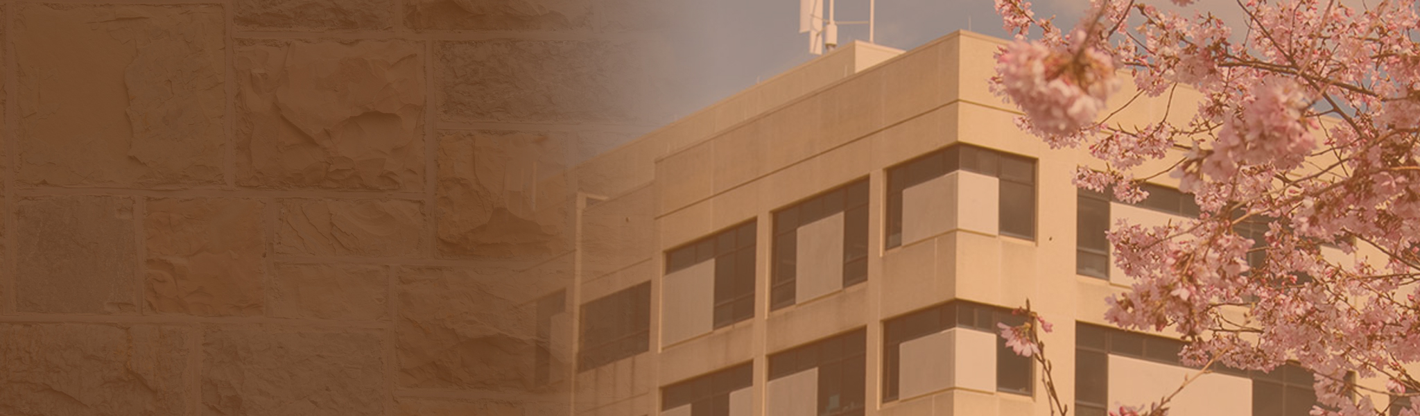 Whittemore Hall Header