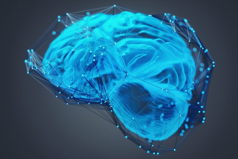 Image of a brain
