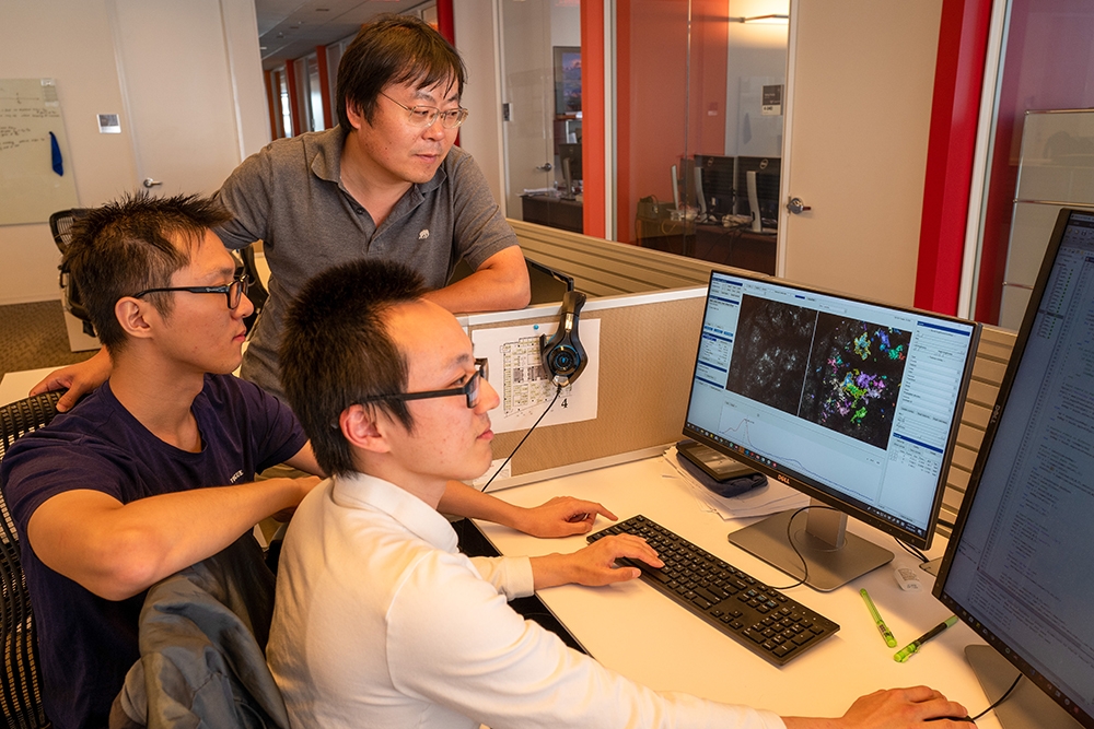Nature Neuroscience Publishes ECE Researchers' New Software Designed to Improve Study of Brain Function